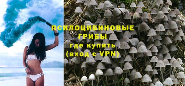 сатива Каменск-Шахтинский