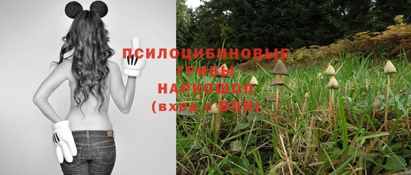 гидропоника Саяногорск