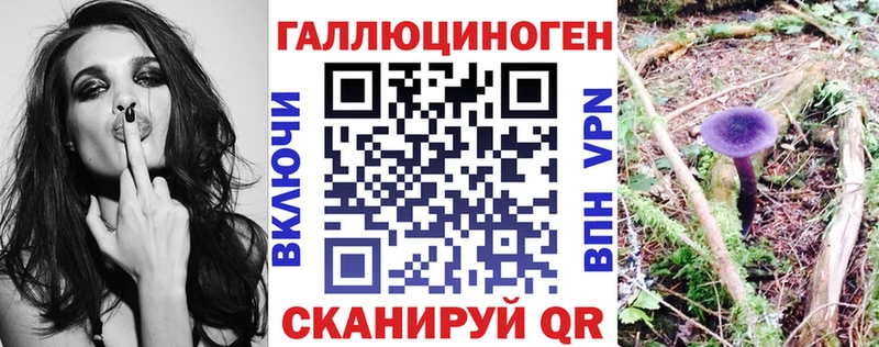закладки  Кандалакша  Псилоцибиновые грибы Psilocybine cubensis 